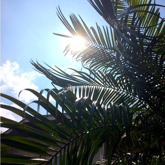 Meet your Posher, Sandra - Picture 1 of 2